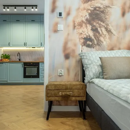 Boho Grunwaldzka 25 Apartment Bydgoszcz